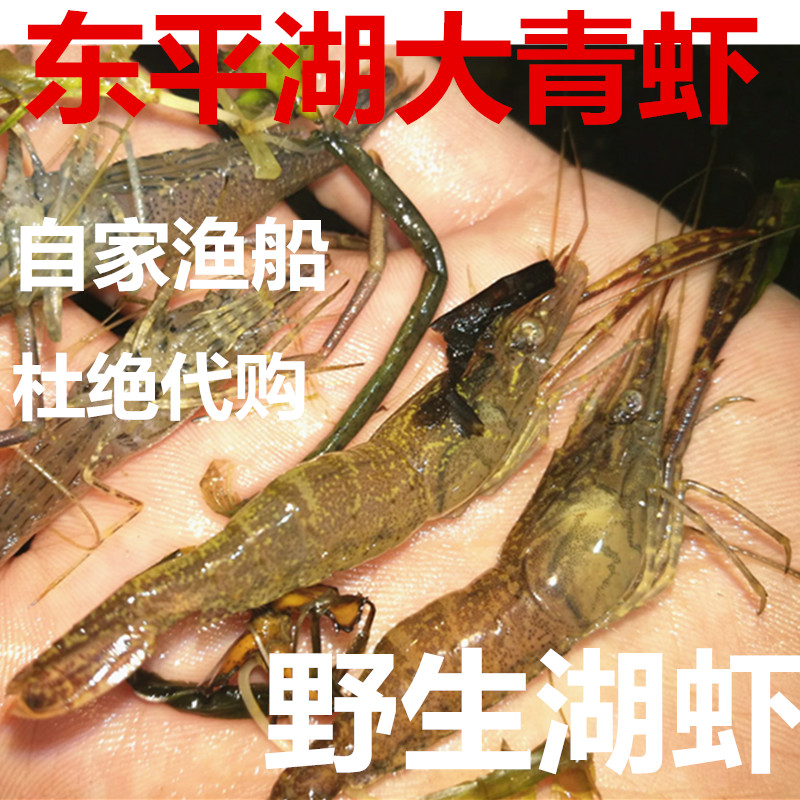 东平湖野生大虾五节腿冷冻野生湖虾包邮拍2斤包邮