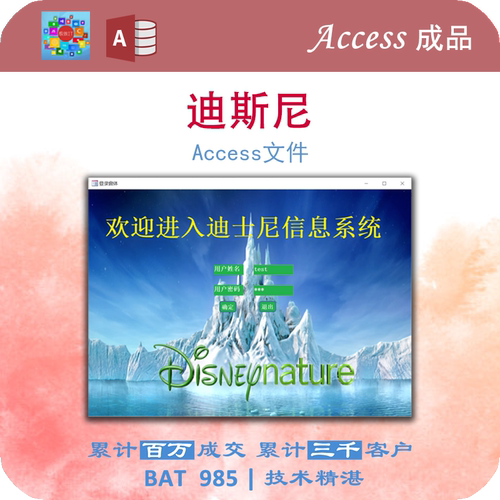 Access数据库成品 迪斯尼游玩查询系统不带报告 查询窗体宏报表