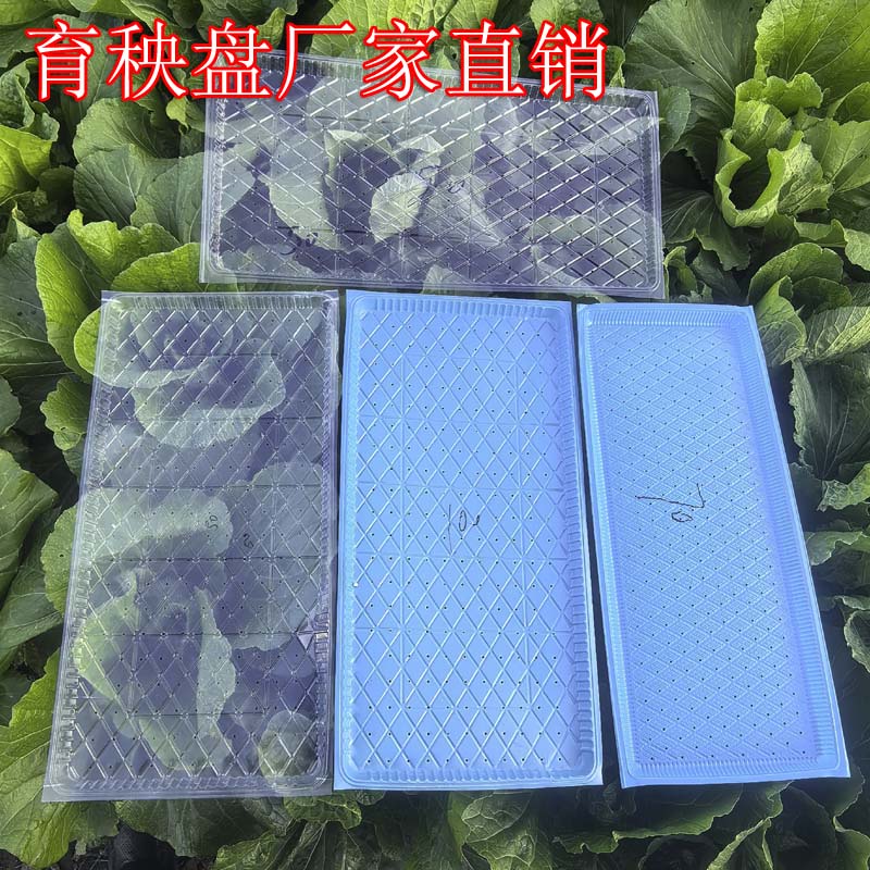 育苗盘营养钵育秧托盘水稻秧盘