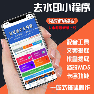 去水印小程序搭建流量主源码短视频去水印配音文案提取带解析接口