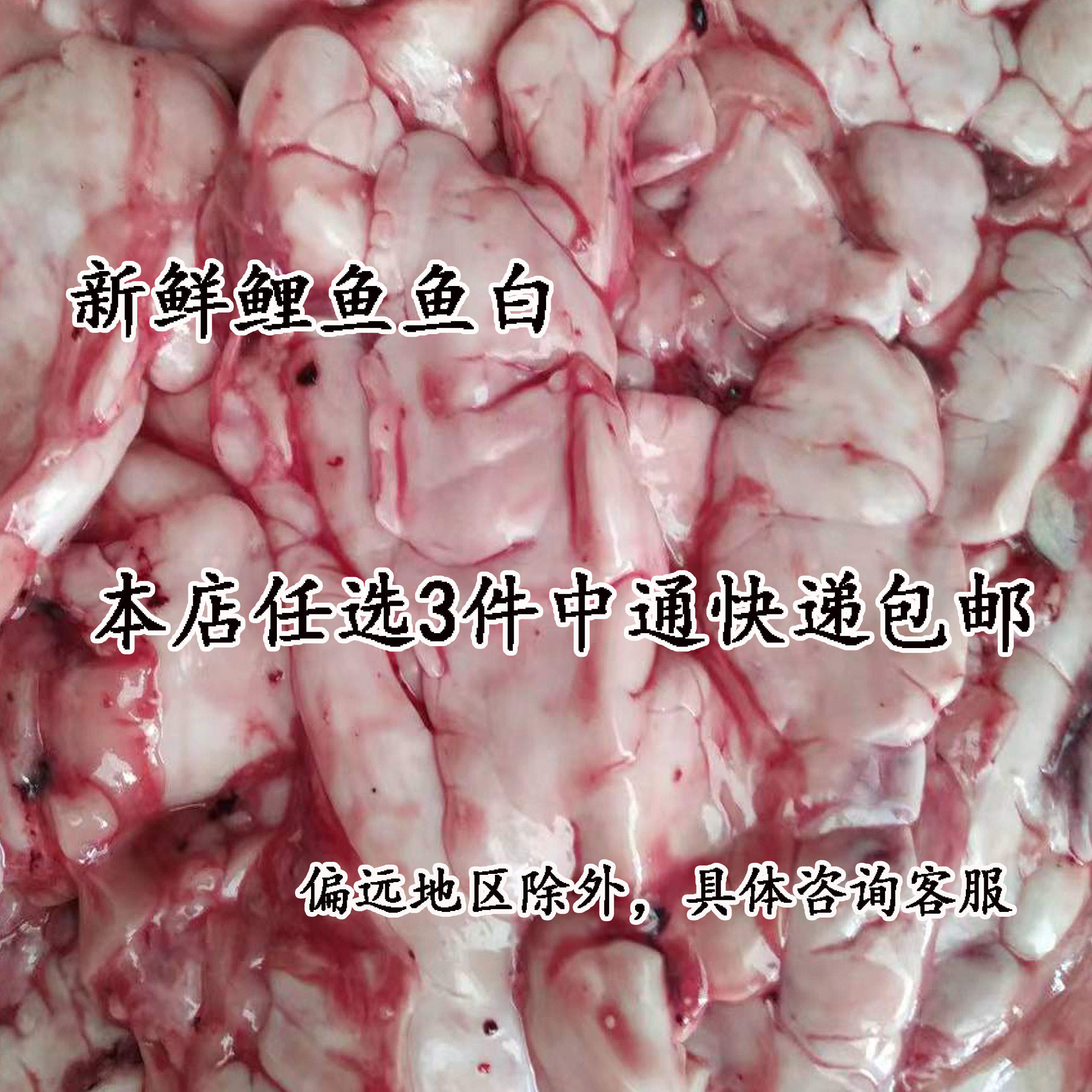 新鲜鲜活鲤鱼鱼白精子公鱼内脏