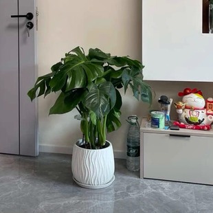 波浪镁泥花盆大口径花瓶复古黑金刚轻奢高级感大号高颜值 矮款