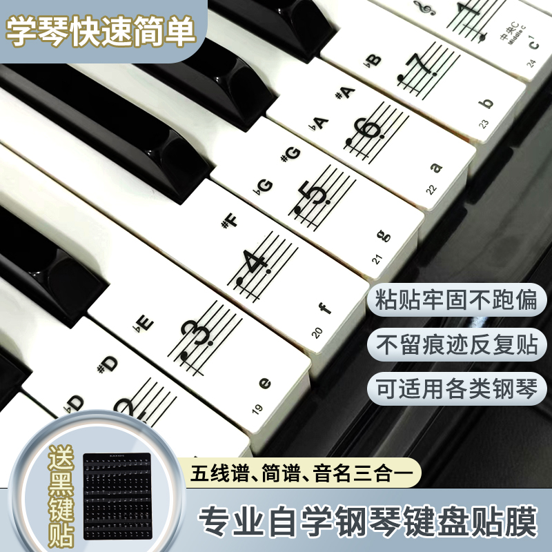 钢琴电子琴键盘贴纸音位贴88/61/无痕胶贴成人儿童五线谱简谱自学