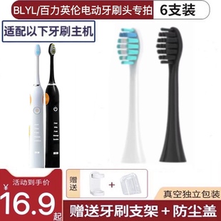 百力英伦电动牙刷替换刷头成人RLT206TB1206清洁美白型 适用BLYL