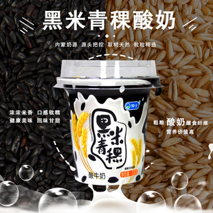 骑士黑米青稞酸奶200g*12杯/箱 自有牧场奶源营养好吃