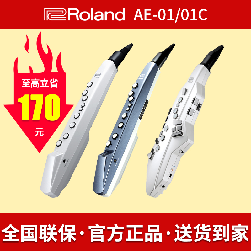 罗兰电吹管ae01c初学者乐器大全