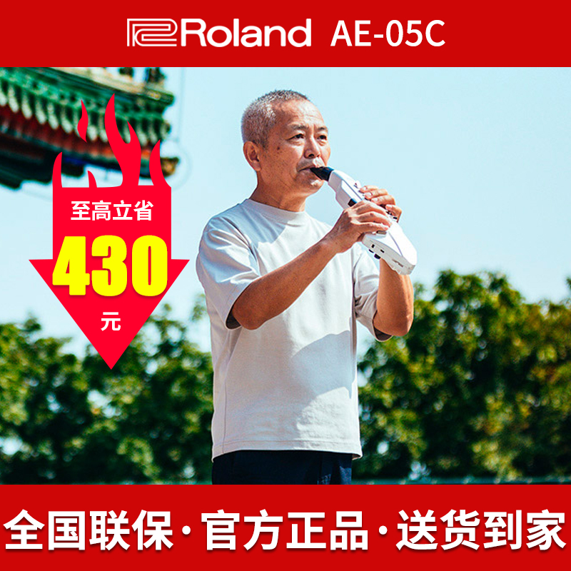 罗兰电吹管ae05c乐器大全初学者
