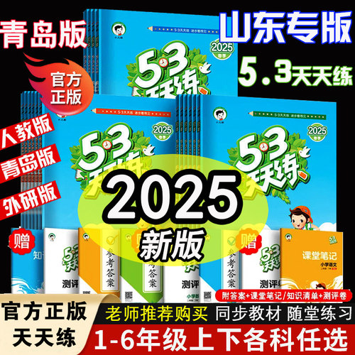 53天天练同步训练全套