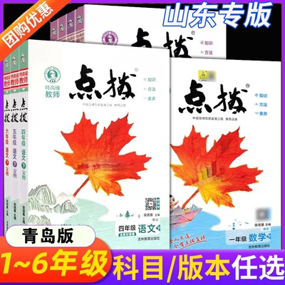 山东专版点拨数学青岛版63制