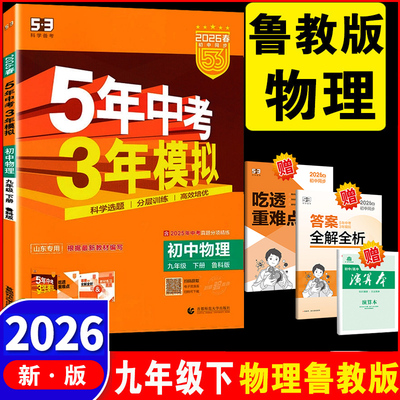 初中物理九年级鲁科版LK版54制