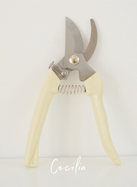 Cecilia  家庭园艺弯嘴修枝剪 粗枝修剪绿植多肉花艺盆景鲜花剪