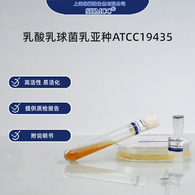 二代乳酸乳球菌乳亚种ATCC19435 酸奶发酵剂 食品级菌株 上海现货