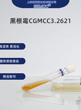 二代黑根霉CGMCC3.2621 糖化酶 酒精发酵 工业酶制剂 上海包邮