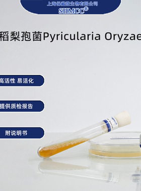 稻梨孢菌ACCC37631 水稻稻瘟病 植物病理研究