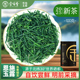 2025恩施玉露蒸青绿茶明前嫩芽茶原产春茶高山茶叶品茗手工精制