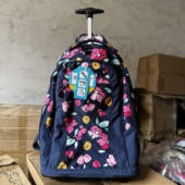 太牛X 米国行李箱旅行商务通用两用双肩拉杆包高年级拉杆书包背包