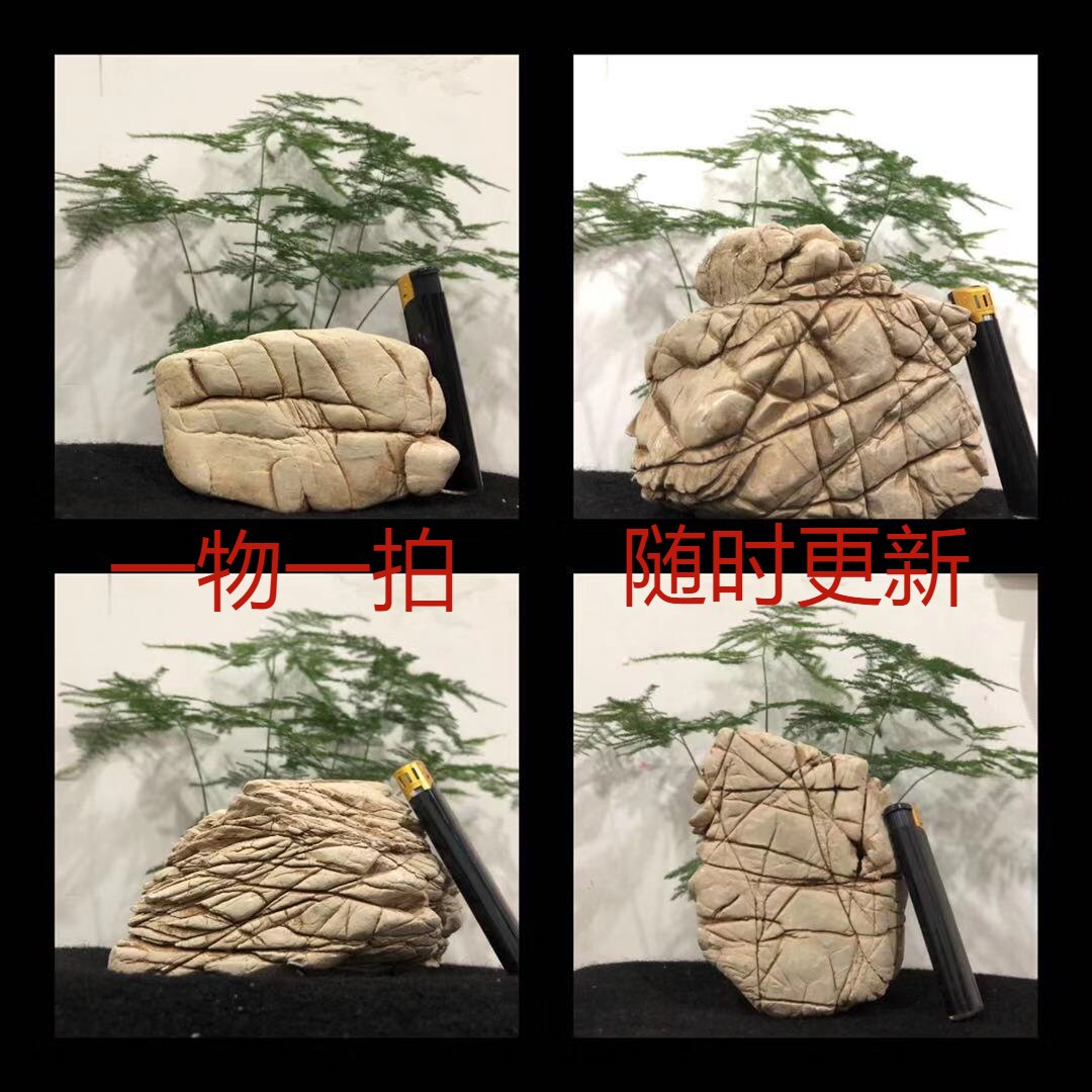 精品小块龟纹石小型吸水石假山微景观盆景摆件配件装饰小石头原石