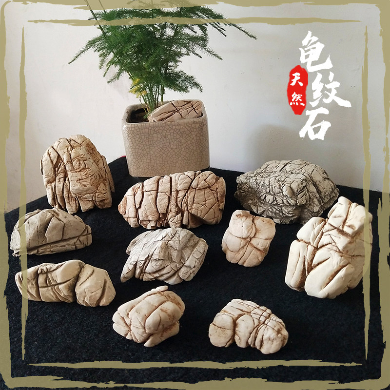 精品龟纹石天然原石根抱石盆景石鱼缸造景石微观假山石园林风景石