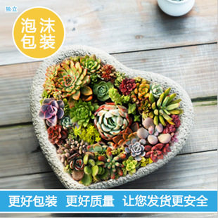 欧美爱心灰色水泥园艺装饰品花器