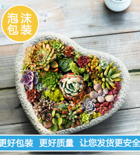 欧美爱心灰色水泥园艺装饰品花器