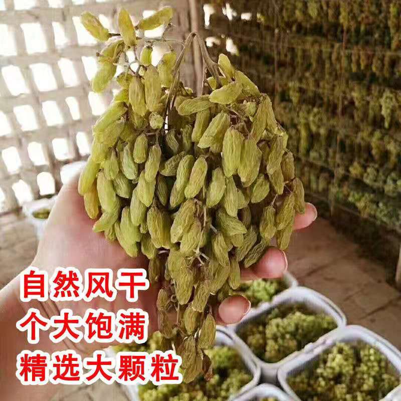 新疆散装整箱新货提子葡萄干超大