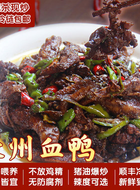 永州血鸭 血浆鸭 湖南特产私房菜 现杀现炒 无防腐剂 李胖子土鸭