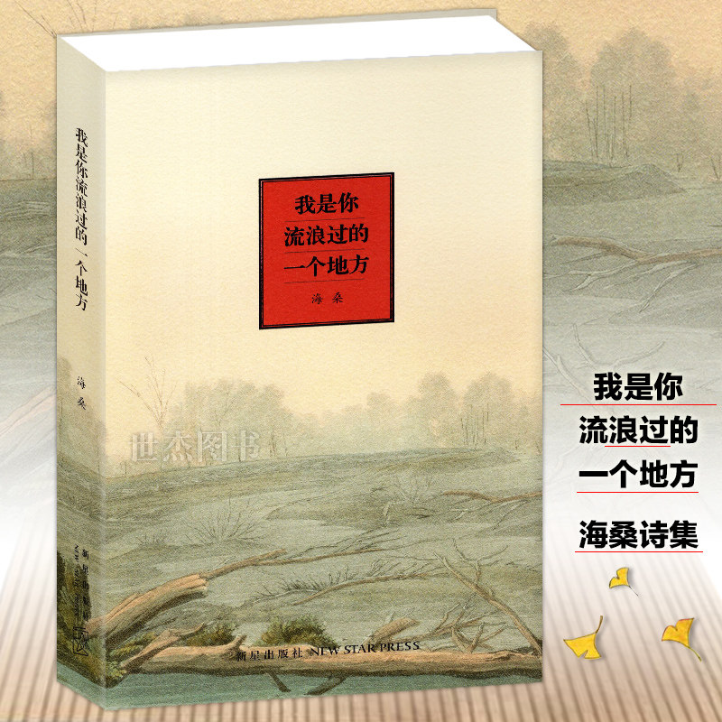 海桑随笔素材模板 海桑随笔图片下载 小麦优选