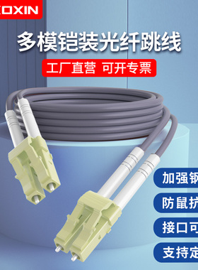 诺可信铠装光纤跳线多模双芯LC-LC转SC-FC-ST光缆4/6/8芯千兆万兆OM3光仟线室内外防鼠抗拉3米5/10/30M可定做