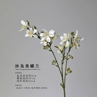 Исландия Xiaomi Dielan/1 филиал