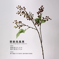Little Phoenix Fruit/1 ветвь