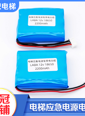 拉把电梯应急电源RKP220/12对讲照明专用锂电池组12V/2200mAh配件