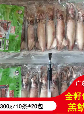 新鲜海鲜 全籽鱿鱼仔 鱿鱼满籽羔尤墨鱼仔笔管鱼 300g/10条*20包