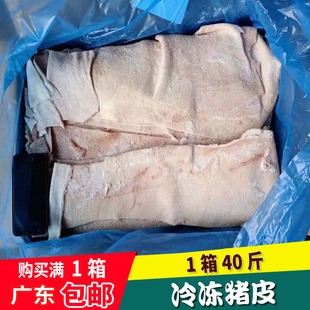 猪皮冷冻新鲜 肉皮新鲜冷冻猪皮 生猪皮 猪肉皮生的 冷冻 40斤装