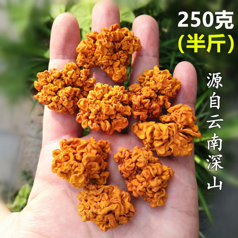 香格里拉金耳干货250克 云南黄耳菌菇银耳桃胶皂角米甜品食材