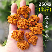 香格里拉金耳干货250克 云南黄耳菌菇银耳桃胶皂角米甜品食材