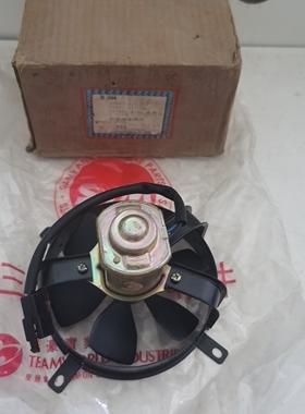 台湾三阳原装四冲程大沙踏板车CH-125/风速150CC风扇马达总成