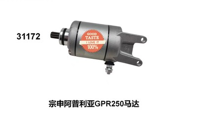 适用宗申比亚乔阿普利亚SR GPR250 APR300T-250电喷启动电机 马达