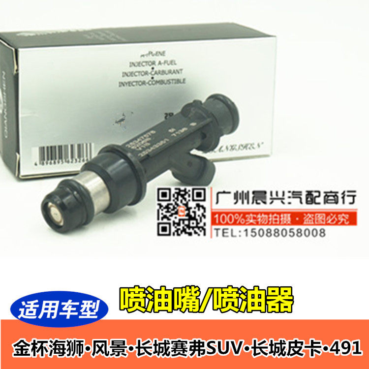适用于金杯海狮 风景 长城赛弗SUV 长城皮卡 491发动机喷油嘴