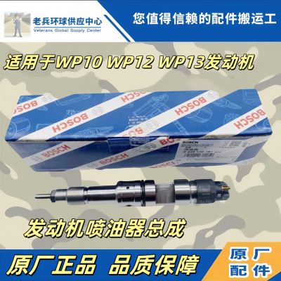 陕汽德龙JH6/WP12P13喷油器