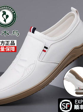 百搭真皮男鞋啄木鸟内增高韩版
