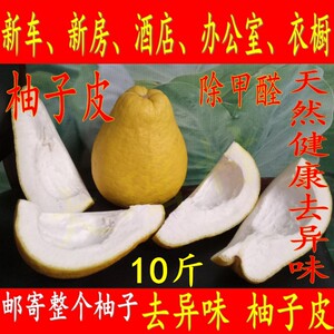 沙田柚英语价格 沙田柚英语图片 星期三
