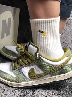Nike Dunk SB Low 经典复古百搭耐磨透气低帮板鞋 HJ3386-300
