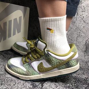 Nike Dunk SB Low 经典复古百搭耐磨透气低帮板鞋 HJ3386-300