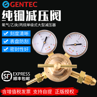 减压表 压力表 125丙烷减压阀减压器 美国捷锐减压阀152F