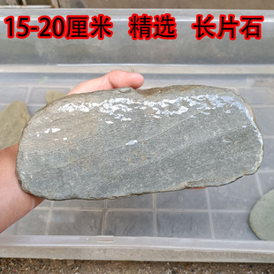 溪流鱼缸造景石可开票一物一图长片页岩乌龟晒背台搭建庭院假山