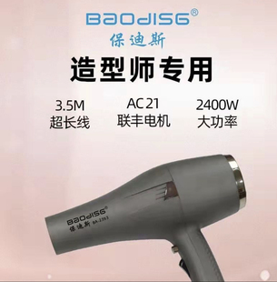 宝/保迪斯2393电吹风机家用大功率冷热风理发店发廊发型师可用