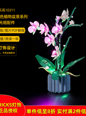 YEABRICKS适用乐高10311兰花绿色植物盆景积木LED灯饰 IDEAS灯光