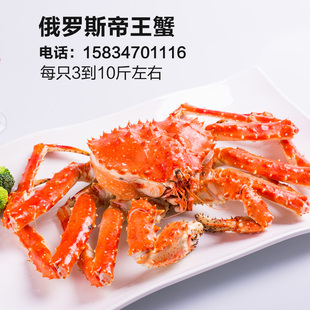 帝王蟹 皇帝蟹 蜘蛛蟹 鲜活螃蟹 阿拉斯加螃蟹