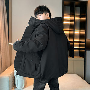 冬季暖标防寒白鸭绒连帽外套羽绒服情侣款 带B247-219-p208图片