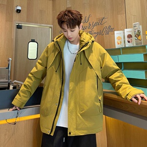 冬新标防寒白鸭绒连帽外套羽绒服情侣款 带B247-5111-p258图片